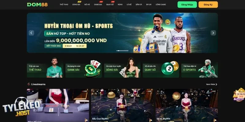 Tìm hiểu về Dom88