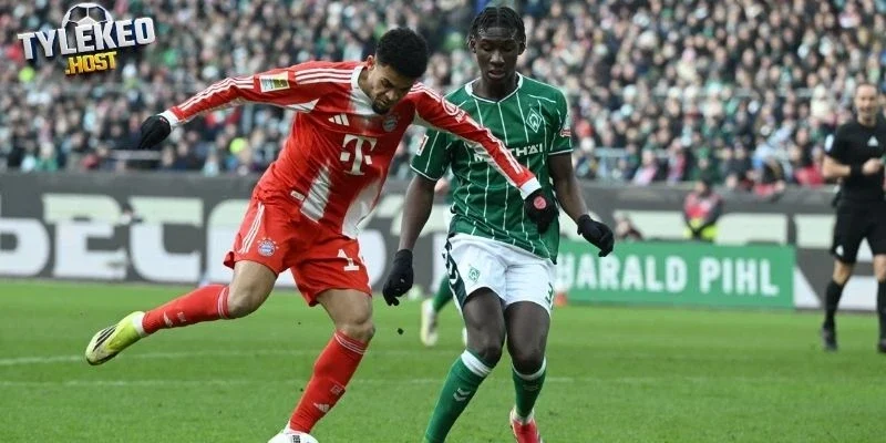 Thành tích Galatasaray vs Juventus